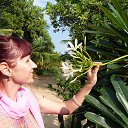 ���� �������, ��������� - ��������� 16 ������� 2013 � ������ ���� ����������