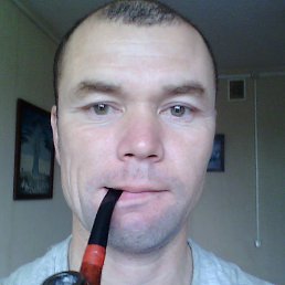 ������, ������, 45 ���