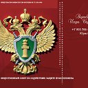 ���� ���, ������, 42 ���� - ��������� 12 ������ 2013 � ������ ���� ����������