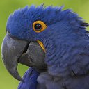 ���� ������, ���������, 45 ��� - ��������� 24 ������� 2013 � ������ ���� ����������