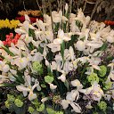 ���� Tim, ��������� - ��������� 25 ������ 2013 � ������ �������