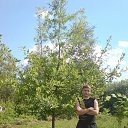 ���� ��������, ������, 35 ��� - ��������� 16 ������� 2014 � ������ ���� ����������