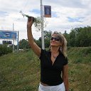 ���� �����, ��� - ��������� 2 ����� 2014 � ������ ���� ����������
