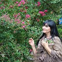 ����������� ���� �� ������� ���� ����������