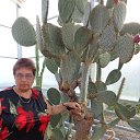 ���� ������, �������, 67 ��� - ��������� 22 ������� 2013 � ������ ����������