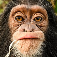 Bogdan, 44 , 