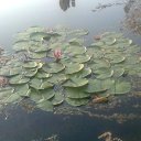 ���� ���������, �����������, 43 ���� - ��������� 7 �������� 2013 � ������ �_.-;(*,!,*);-,_�