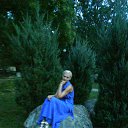  , -, 50  -  29  2013    