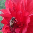 ���� Z, ������ - ��������� 23 �������� 2013 � ������ �������