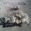 ������� � ������. �� ������� ���� ����������