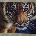 ���� �������, ������, 54 ���� - ��������� 17 ������ 2014 � ������ ���� ����������