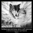 ���� Einsamer Wolf, ������������, 71 ��� - ��������� 27 ������ 2014 � ������ ���� ����������