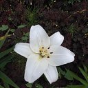 ���� ������, ������������ - ��������� 6 ����� 2014 � ������ ������ ��������