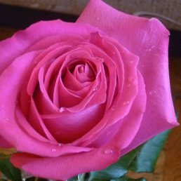 ������, �����-���������, 35 ���