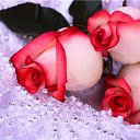 ���� Zigzag, �����, 38 ��� - ��������� 20 ������� 2013 � ������ ���������!�