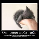 ���� �������, ���������� ����� - ��������� 15 ����� 2014 � ������ �������