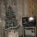 ���� ��������, ���, 43 ���� - ��������� 13 ������� 2013 � ������ ����������� � ������ ���� 2014 �.�