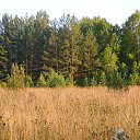 ���� ����, ��������, 52 ���� - ��������� 1 �������� 2013 � ������ ���� ����������