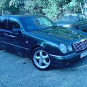 ���� �����, ����, 51 ��� - ��������� 24 �������� 2013 � ������ ���� ����������