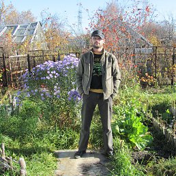 Vyaldi, ������, 47 ���