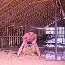 ���� N N N, ������ - ��������� 6 ������� 2013 � ������ ���� ����������