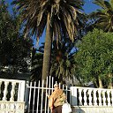 ���� ������, ������ - ��������� 8 ������� 2013 � ������ ���� ����������