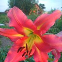 ���� �������, ������� - ��������� 21 ������� 2014 � ������ ������