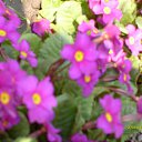 ���� Oleg, ������ - ��������� 28 ������� 2014 � ������ ������ ��������