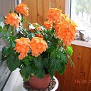 ���� Sergey, �����, 76 ��� - ��������� 7 ������� 2014 � ������ ���� ����������.�