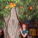 ���� ���� �����, ������������ - ��������� 22 ������� 2013 � ������ ���� ����������