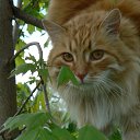 ���� ����, ��������� - ��������� 28 ������� 2013 � ������ ���� ����������