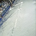 ���� �������, �����������-��-�����, 74 ���� - ��������� 3 ������� 2014 � ������ �����... �� �����������!�