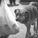 ���� ����, ������ - ��������� 5 ������� 2013 � ������ ���� ����������