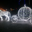 ���� C�����, ������ - ��������� 5 ������� 2014 � ������ ���� ����������