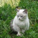 ���� ����, ������, 53 ���� - ��������� 8 �������� 2013 � ������ �������