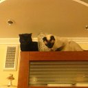 ����� � ����� �� ������� ���� ����� � ������