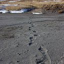 ���� ������, �����-�������, 64 ���� - ��������� 31 ������� 2013 � ������ ���� ����������