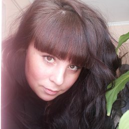 ��������, ����-�����������, 38 ���