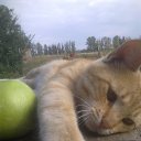 ���� ������, �����-��������� - ��������� 9 ������ 2013 � ������ ����