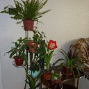 ��� �����. �� ������� ���� ����.�