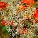 ���� �������, ������, 61 ��� - ��������� 11 ������ 2013 � ������ ���� ����������