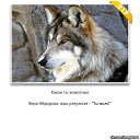 ���� ����, ���, 32 ���� - ��������� 22 ������� 2013 � ������ ���� ����������