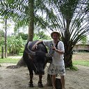 ���� ����, �����������, 49 ��� - ��������� 24 ������ 2013 � ������ ���� ����������