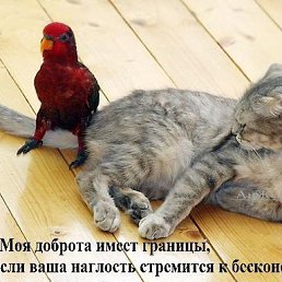 ���� �����, �������, 54 ���� - ��������� 6 ������� 2013