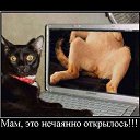 ���� Nick, ����, 65 ��� - ��������� 16 �������� 2013 � ������ ���� ����������
