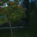 ���� �������, ������, 70 ��� - ��������� 17 ������� 2013 � ������ ���� ����������