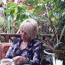 ���� �������, ����-��������� - ��������� 15 ������� 2014 � ������ ���� ����������