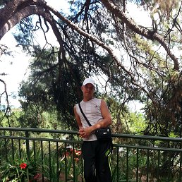 ���� ���������, ����, 39 ��� - ��������� 19 ������ 2014