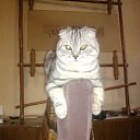 ���� ��������, ������ ��������, 52 ���� - ��������� 12 ������� 2014 � ������ ������ ��������