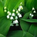 ���� ������, ������, 41 ��� - ��������� 17 ������� 2013 � ������ ���� ����������